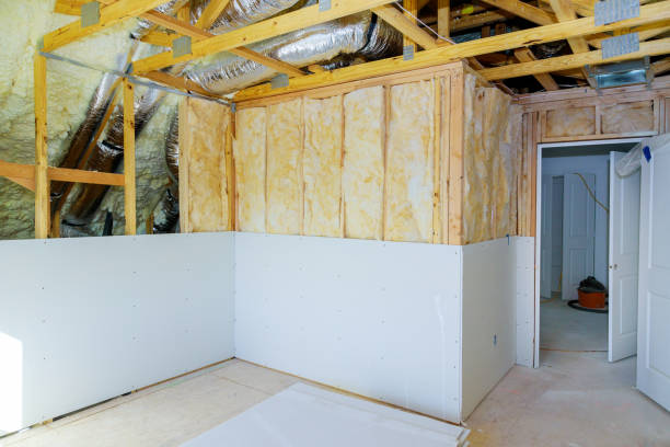 Eco-Friendly or Green Insulation Solutions in Canton, PA